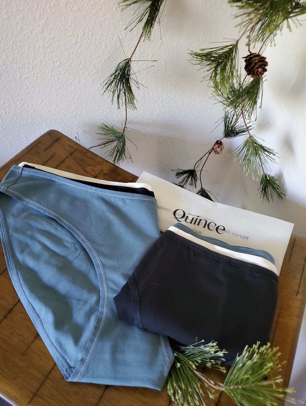 NEW Quince Everyday Organic Cotton Bikini Panties Pack of 6 Bundle
